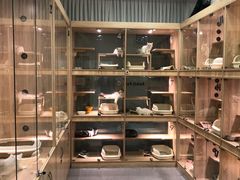 -BABIT巴比特宠物(MOMOPARK店)