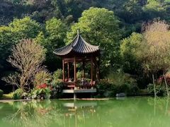 -云溪植物园