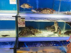 水产区-盒马鲜生(岭南新世界店)