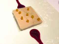 鸭肝冻-Le Comptoir de Pierre Gagnaire