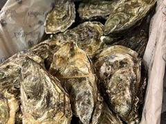 生蚝-斯普汇生蚝牛排馆(中骏世界城店)