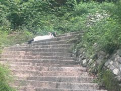 -北京凤凰岭