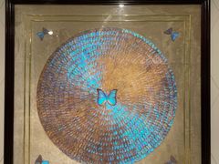 -上海昆虫博物馆