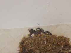 -从前慢海鲜面馆