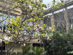 -昆明洲际酒店