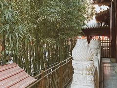 -柏林禅寺