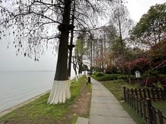 -湖滨客舍·湖北菜