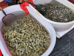 -芦潮港集贸市场