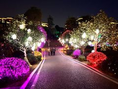 -枫香湖儿童公园