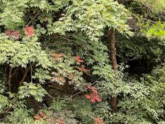 -天台山琼台仙谷景区