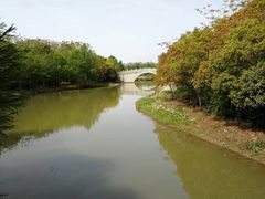 -上海海湾国家森林公园