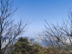 -桃花岭景区