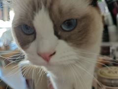 -瑞幸咖啡(创兆广场店)