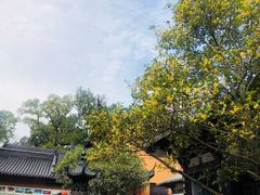 -灵谷景区