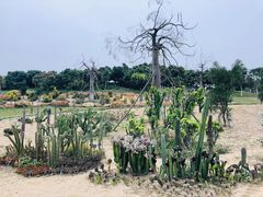 -东莞植物园