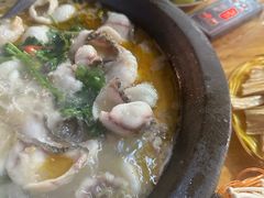 -大鼎石锅鱼(春江里店)