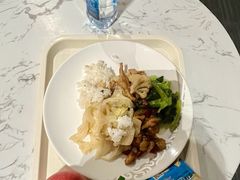 -虹桥机场国航贵宾室v8