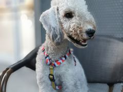 -星巴克(成都凯德天府店)