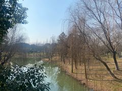 -尚贤河湿地