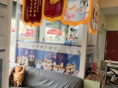 -芭比堂动物医院·心脏科·老年急重症·夜诊·吉雅分院