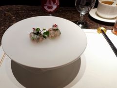 -觀芷隐轩