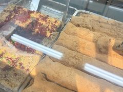 -清真·白记年糕(牛街北口店)