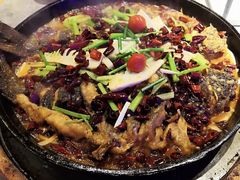 -老板恋上鱼(恒隆广场店)