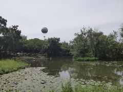 -西溪国家湿地公园