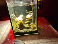 -上海静安香格里拉大酒店