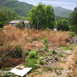 赣州上犹各村多少人口_赣州上犹五指峰(3)