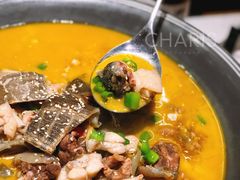 招牌状元藤椒甲鱼牛蛙-十碗(保利店)