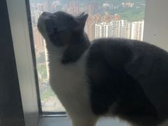 -蒋六十八梯眼镜面(渝中店)