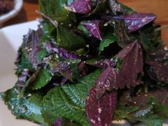 苏子叶-漕河全驴宴饭店(徐水店)