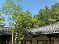 -广州神农草堂中医药博物馆