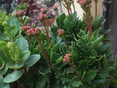 -RoMan罗马健身工作室(莘庄店)