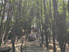 -火炉山森林公园