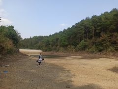 -青龙山国家森林公园