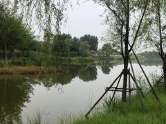 -东郊湿地公园