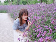 -黄河三峡风景名胜区