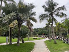 -深圳仙湖植物园