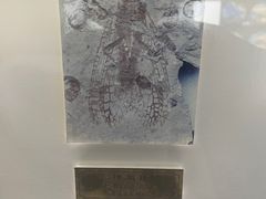 -上海昆虫博物馆