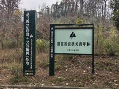 -青龙山国家森林公园