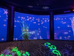 -沈阳海洋探索中心