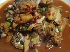 -全乐鱼馆·淳牌有机鱼直营店