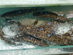 -永辉超市(郫都区爱琴海店)