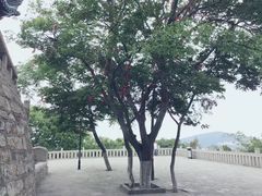 -云龙山
