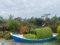-荷兰花海