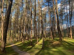 -硗碛藏寨·神木垒景区