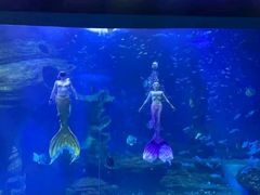 -多彩贵州城极地海洋世界