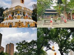 -护国法轮寺